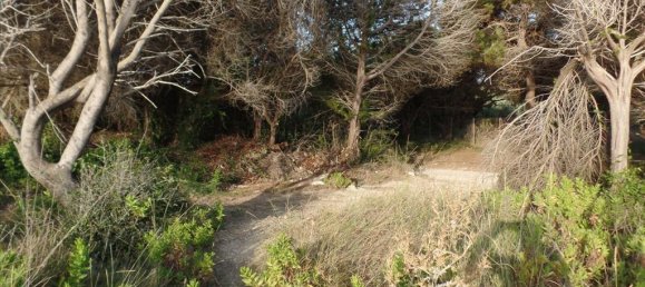 6409m² Hotel in Corfu, Greece No. 5571 7