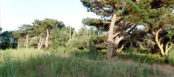 6409m² Hotel in Corfu, Greece No. 5571 8