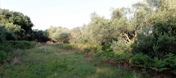 6409m² Hotel in Corfu, Greece No. 5571 4