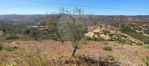 Grundstück in Sao Bartolomeu de Messines, Portugal 5880m², Nr. 39833 3
