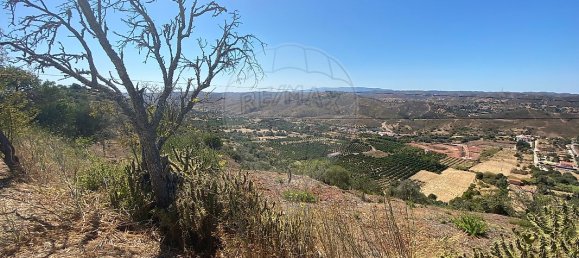 Grundstück in Sao Bartolomeu de Messines, Portugal 5880m², Nr. 39833 7