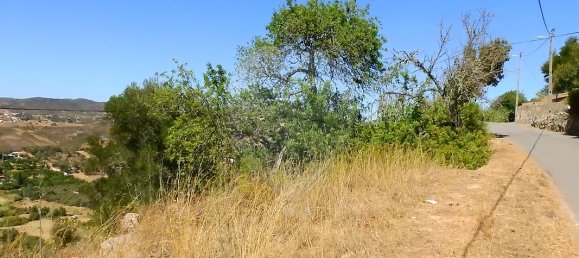 Grundstück in Sao Bartolomeu de Messines, Portugal 5880m², Nr. 39833 6