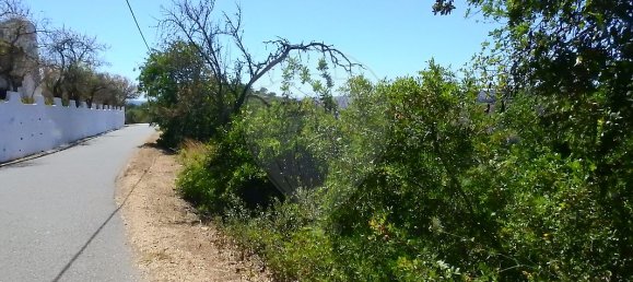 Grundstück in Sao Bartolomeu de Messines, Portugal 5880m², Nr. 39833 11