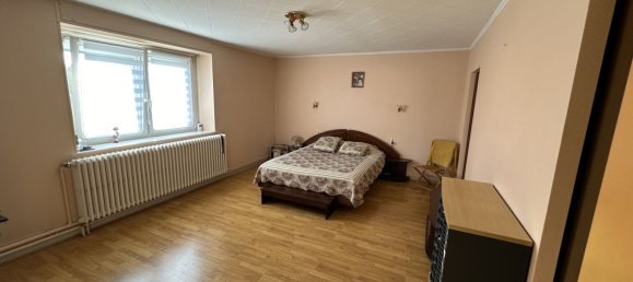 Propriété commerciale à Lerrain, France 300m² No. 155520 14