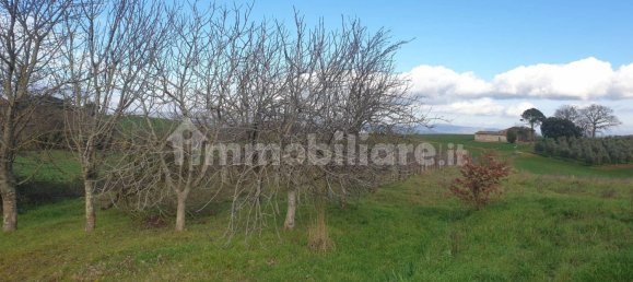 4 bedrooms House in Orvieto, Italy No. 305814 12