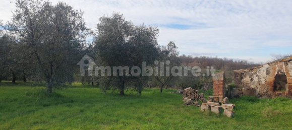 4 bedrooms House in Orvieto, Italy No. 305814 8