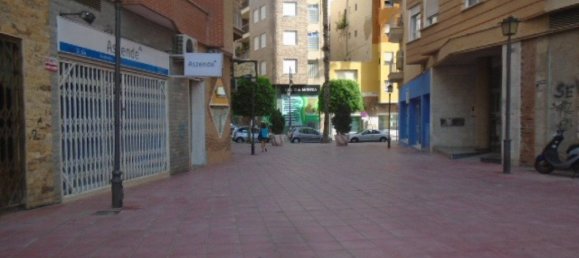 97m² Commercial property in Molina de Segura, Spain No. 63092 2