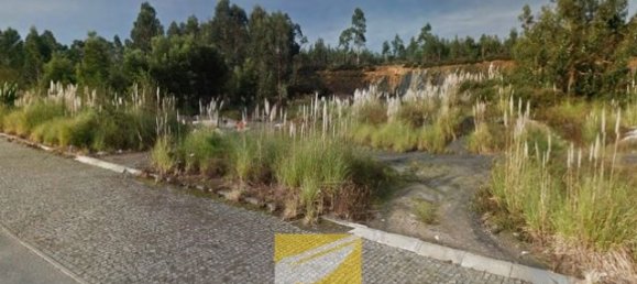 9990m² Land in Vilarinho das Cambas, Portugal No. 33446 3