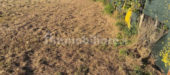 1500m² Land in Follonica, Italy No. 362369 5
