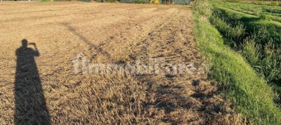 1500m² Land in Follonica, Italy No. 362369 3