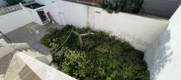 10 rooms Villa in Torricella, Italy No. 78467 22