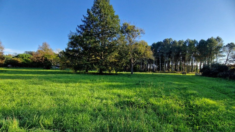  Land in Uzeste, France No. 181944