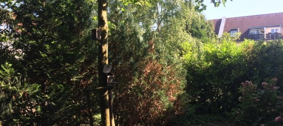 2 rooms Apartment in Bonn, Germany No. 114590 20