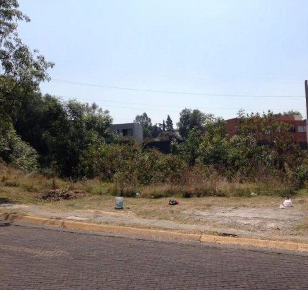  Land in Mexico No. 207050