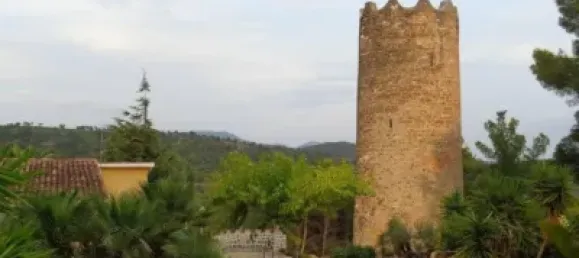 2 bedrooms Duplex in Castellon, Spain No. 177669 48