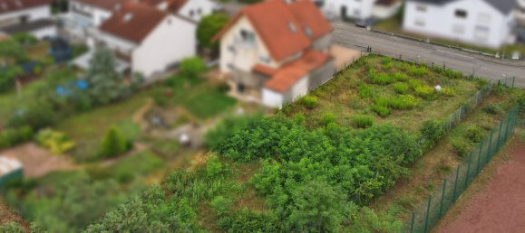  Land in Rhein-Neckar-Kreis, Germany No. 259621 2