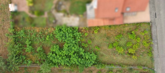  Land in Rhein-Neckar-Kreis, Germany No. 259621 3