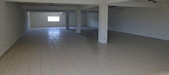 Недвижимость 1500м² в Катерини, Пиерия, Центральная Македония, Македония и Фракия, Греция № 7289 5