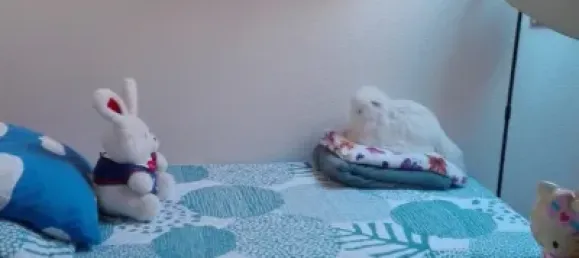 3 غرف نوم منزل ذو طابقين في Alpedrete, Spain رقم 154097 6