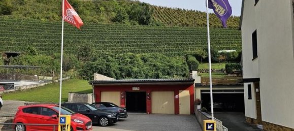 735m² Hotel in Cochem-Zell, Germany No. 143740 14