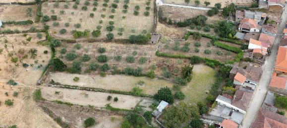 3 bedrooms House in Mirandela, Portugal No. 170418 27