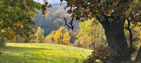 2 Schlafzimmer Wohnung in Goslar, Germany, Nr. 218868 16