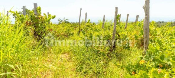 Дом с 3 спальнями в Мило, Италия № 335318 19