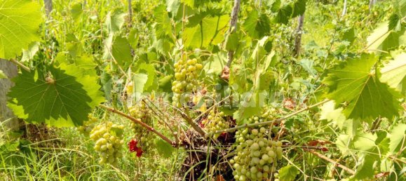 Дом с 3 спальнями в Мило, Италия № 335318 15