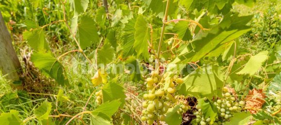 Дом с 3 спальнями в Мило, Италия № 335318 17