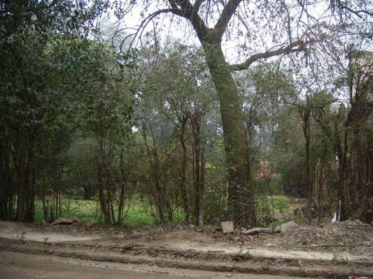  Land in Jose C. Paz, Argentina No. 113924