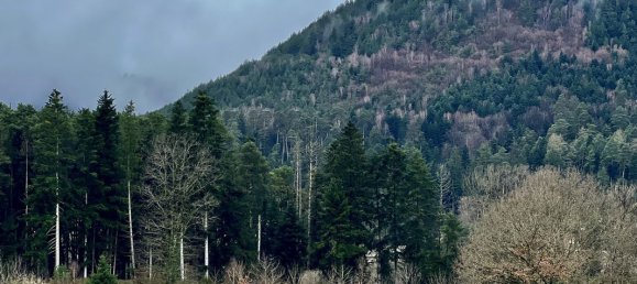 Terreno em Saint-Die-des-Vosges, France 2161 m² N.º 66670 8