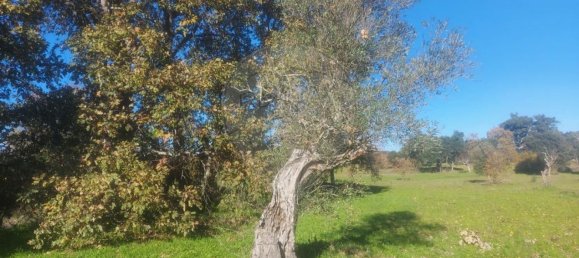 Terrain à Penamacor, Portugal 17750m² No. 74461 11