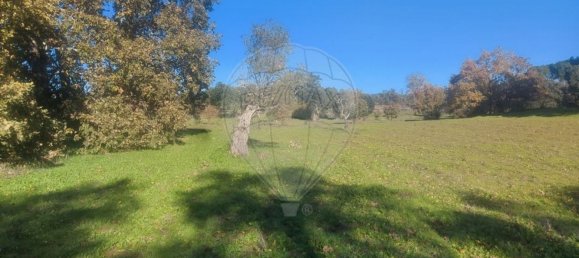 Terrain à Penamacor, Portugal 17750m² No. 74461 10