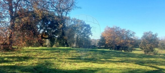 Terrain à Penamacor, Portugal 17750m² No. 74461 5