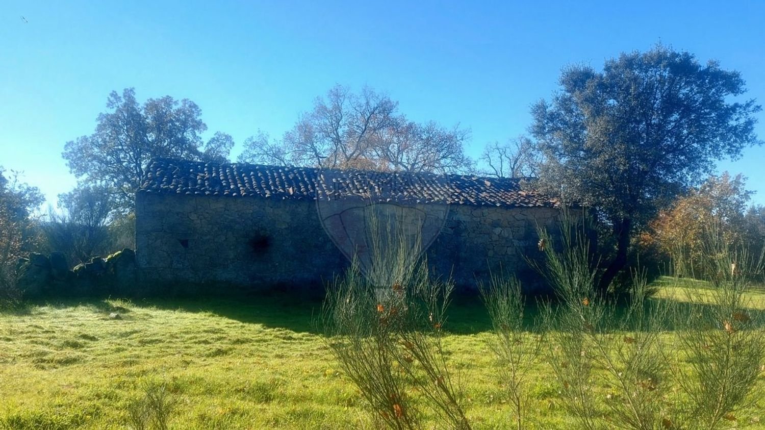 Terrain à Penamacor, Portugal 17750m² No. 74461