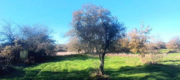 Terrain à Penamacor, Portugal 17750m² No. 74461 13