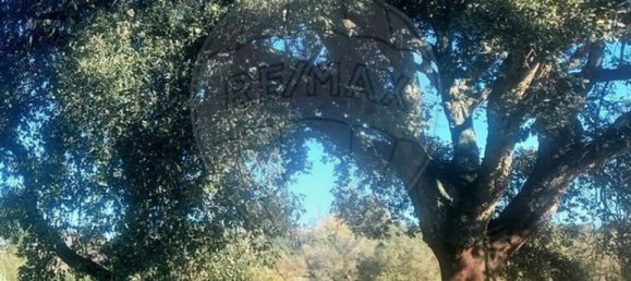 Terrain à Penamacor, Portugal 17750m² No. 74461 6