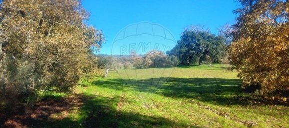 Terrain à Penamacor, Portugal 17750m² No. 74461 9