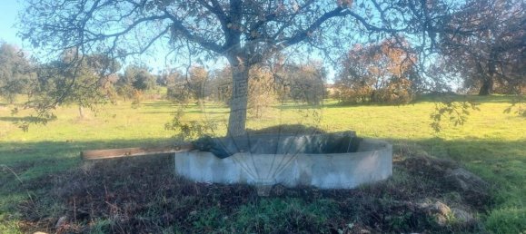 Terrain à Penamacor, Portugal 17750m² No. 74461 15