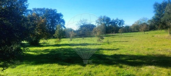 Terrain à Penamacor, Portugal 17750m² No. 74461 16