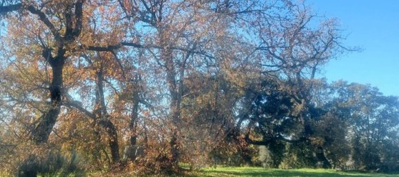 Terrain à Penamacor, Portugal 17750m² No. 74461 4