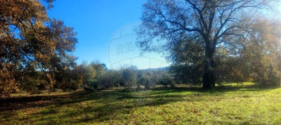 Terrain à Penamacor, Portugal 17750m² No. 74461 7