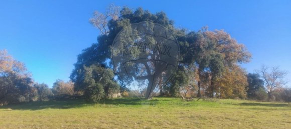 Terrain à Penamacor, Portugal 17750m² No. 74461 12