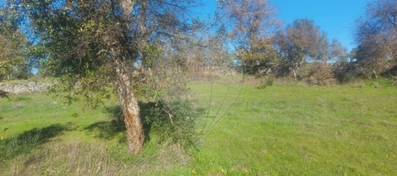 Terrain à Penamacor, Portugal 17750m² No. 74461 17