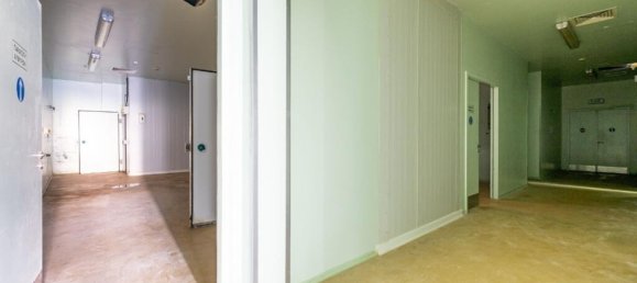 Коммерческая недвижимость 1210м² в Пафос, Кипр № 24510 4