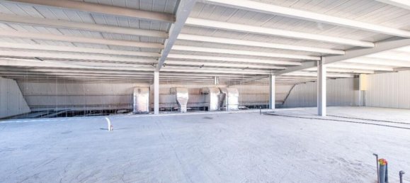 Коммерческая недвижимость 1210м² в Пафос, Кипр № 24510 9