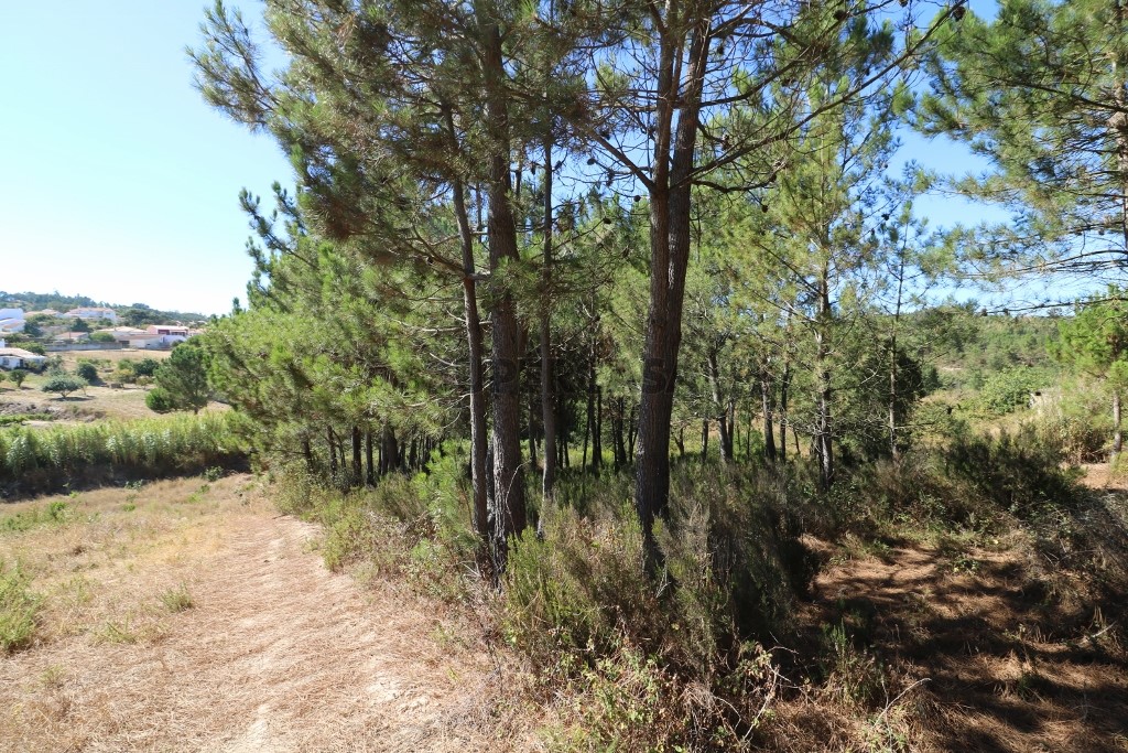 Земельный участок 2240м² в Торриш Ведраш, Португалия № 350795