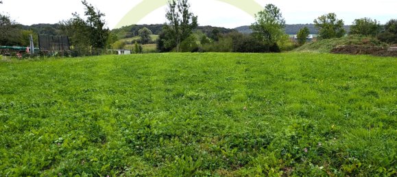  Land in Rodalbe, France No. 233563 3