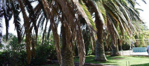 6 bedrooms Villa in Rethymno, Greece No. 6076 6