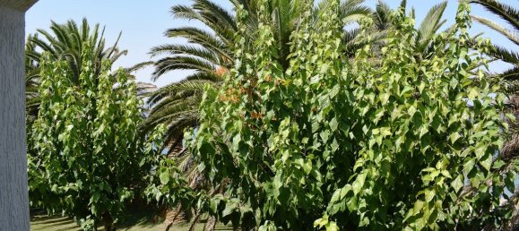 6 bedrooms Villa in Rethymno, Greece No. 6076 13